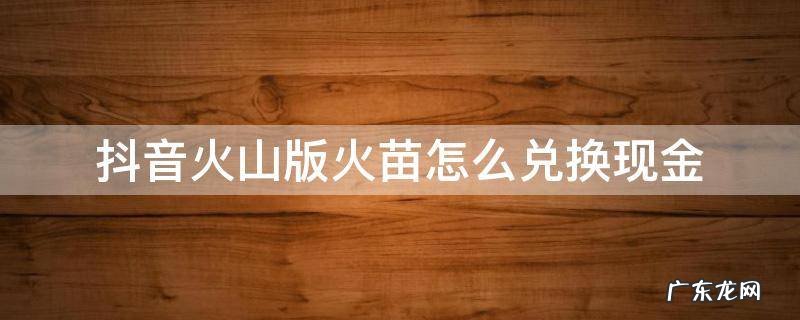 抖音火山版火苗怎么兑换现金真的假的 抖音火山版火苗怎么兑换现金