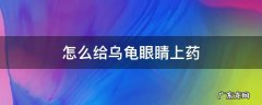 怎么给乌龟眼睛上药膏 怎么给乌龟眼睛上药