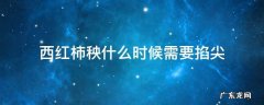 西红柿秧什么时候需要掐尖 西红柿秧什么时候需要掐尖个人所得税