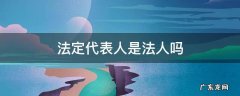 公司法定代表人是法人吗 法定代表人是法人吗