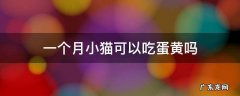 一个月小猫可以吃蛋黄吗 一个月小猫可以吃鸡蛋黄吗
