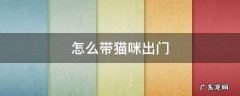 怎么带猫咪出门 怎么带猫咪出门打疫苗