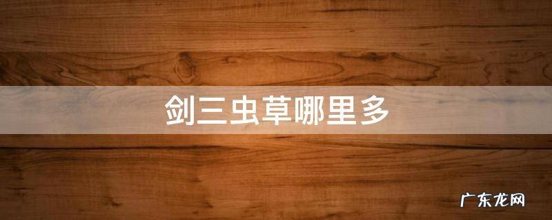剑三 虫草 剑三虫草哪里多