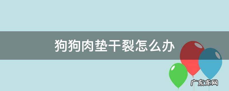 狗爪子肉垫干裂怎么回事 狗狗肉垫干裂怎么办
