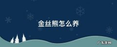 金丝熊怎么养活 金丝熊怎么养