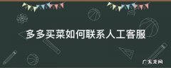 多多买菜如何联系人工客服 多多买菜怎么找人工客服