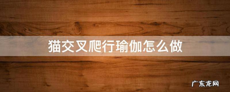 猫交叉爬行瑜伽怎么做 猫爬行式瑜伽