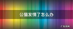 公猫发情了怎么办