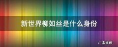 新世界柳如丝和谁在一起了 新世界柳如丝是什么身份