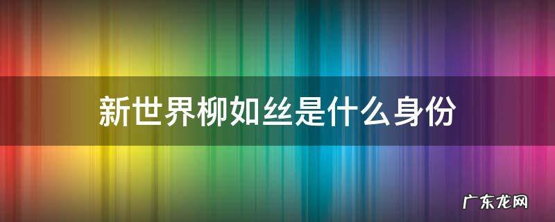 新世界柳如丝和谁在一起了 新世界柳如丝是什么身份