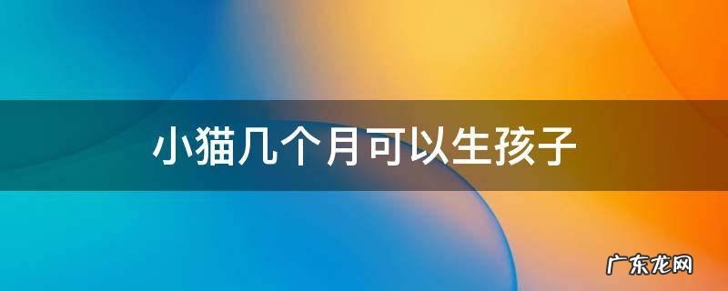 猫几个月才能生小宝宝 小猫几个月可以生孩子