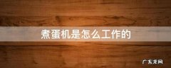 煮蛋机是怎么工作的 煮蛋机要放水吗
