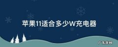 苹果11适用多少W的充电器 苹果11适合多少W充电器