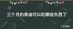 三个月泰迪能吃什么东西 三个月的泰迪可以吃哪些东西了
