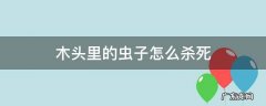 木头里的虫子怎么杀死 木头虫子怎么处理