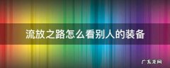 流放之路打出来的装备怎么利用 流放之路怎么看别人的装备