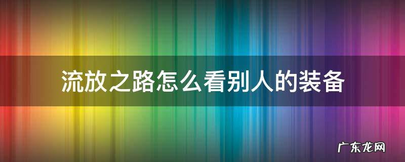 流放之路打出来的装备怎么利用 流放之路怎么看别人的装备