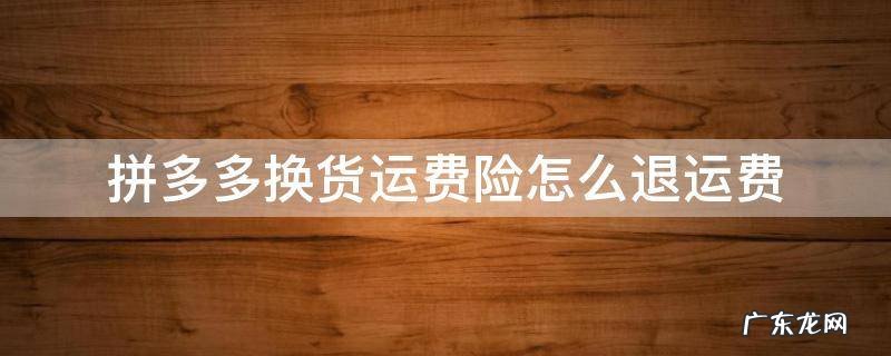 拼多多换货运费险怎么退运费,先垫付么 拼多多换货运费险怎么退运费