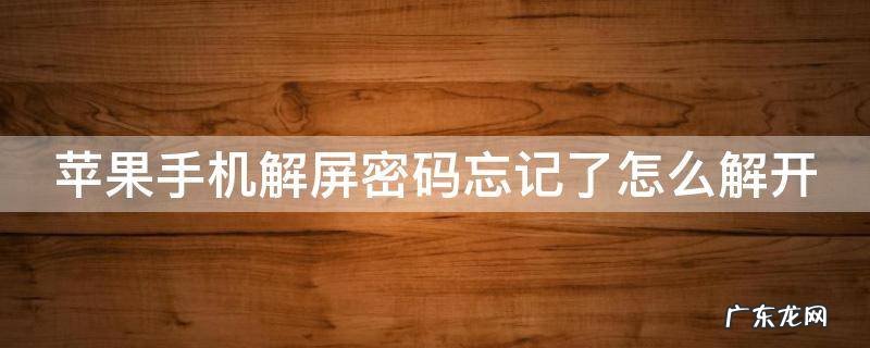 苹果手机解屏密码忘记了怎么解开上面显示停用了 苹果手机解屏密码忘记了怎么解开