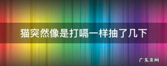 猫突然像是打嗝一样抽了几下 猫打嗝一样一抽一抽的身体还挺
