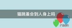 猫的跳蚤会到人身上吗 猫跳蚤会到人身上吗