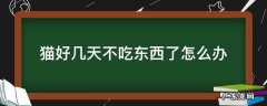 猫好几天不吃东西了怎么办 猫几天不吃东西会怎样