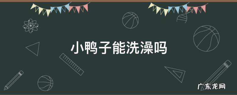 小鸭子能洗澡吗 刚买回来的小鸭子能洗澡吗