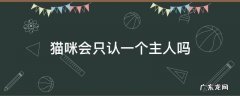 宠物猫只认一个主人吗 猫咪会只认一个主人吗