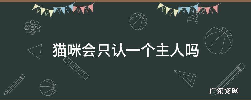 宠物猫只认一个主人吗 猫咪会只认一个主人吗