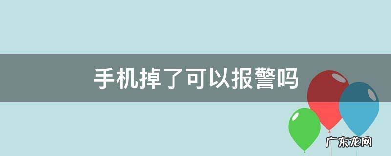手机掉了可以报警吗 手机掉了可以报警吗查监控吗