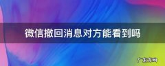 微信中撤回消息对方能看到吗 微信撤回消息对方能看到吗