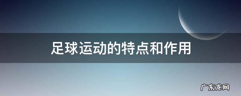 足球运动的特点和作用 足球运动的特点和作用的作文