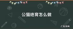 公猫绝育怎么做 公猫咪绝育怎么做