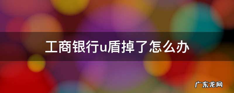 工商银行u盾掉了怎么办 工商银行u盾丢了