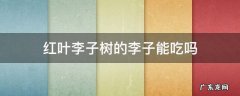 红叶李的李子可以吃吗 红叶李子树的李子能吃吗