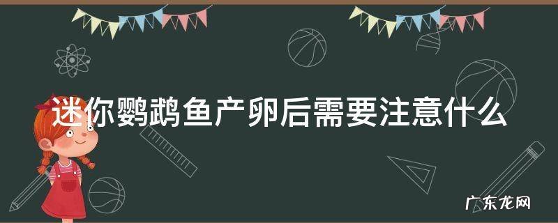 迷你鹦鹉鱼产卵后需要注意什么 迷你鹦鹉鱼产卵后需要注意什么事项