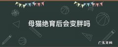 母猫绝育后会不会变胖 母猫绝育后会变胖吗