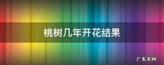桃树几年开花结果 猕猴桃树几年开花结果