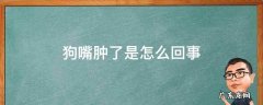狗嘴巴子肿了怎么回事 狗嘴肿了是怎么回事