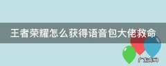 王者荣耀如何获得语音包 王者荣耀怎么获得语音包大佬救命
