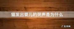猫发出婴儿的哭声是为什么 猫发出婴儿哭的声音