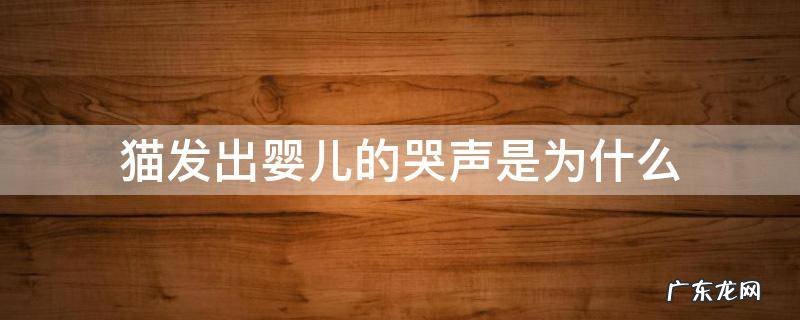 猫发出婴儿的哭声是为什么 猫发出婴儿哭的声音