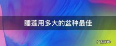 睡莲用多大的盆种最佳 小睡莲用多大的盆种最佳
