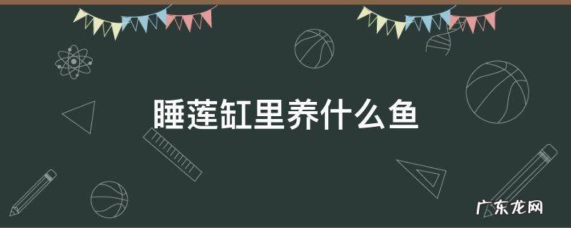 睡莲缸里养什么鱼 睡莲缸里养什么鱼可以不用打氧