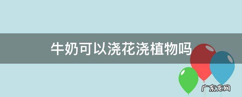 牛奶能够浇花吗 牛奶可以浇花浇植物吗