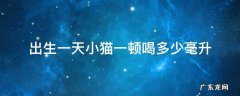 小猫咪一天喝多少毫升奶 出生一天小猫一顿喝多少毫升