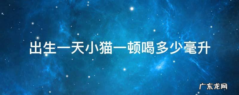 小猫咪一天喝多少毫升奶 出生一天小猫一顿喝多少毫升