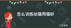 怎样训练幼猫用猫砂 怎么训练幼猫用猫砂