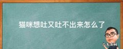 猫咪一直想吐又吐不出来 猫咪想吐又吐不出来怎么了