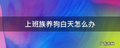 上班族养的狗,上班怎么办 上班族养狗白天怎么办